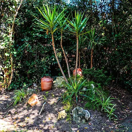 Waterwell Angelochorion