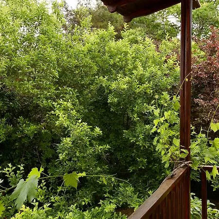 Waterwell Villa Angelochorion